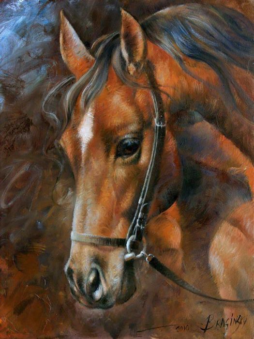 Diamond Painting Pferd 40x30 cm