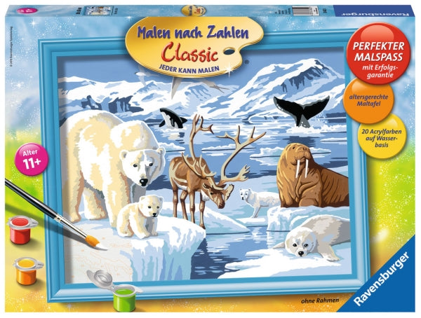 MnZ. Tiere der Arktis