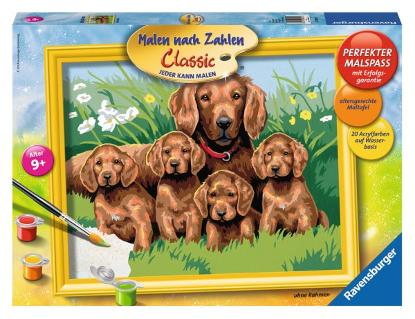 MNZ Hundefamilie