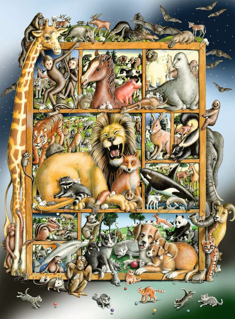Tiere im Regal