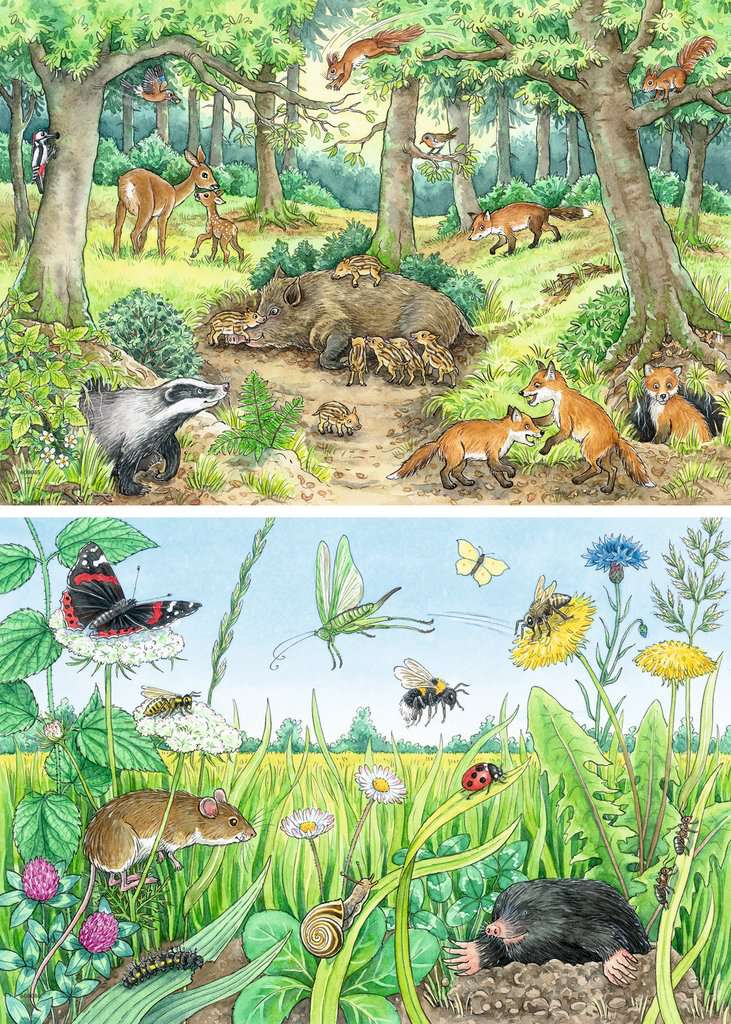 Ravensburger Kinderpuzzle - 05673 Tiere im Wald und auf der Wiese - 2x12 Teile + Wissensposter, Wieso? Weshalb? Warum? Puzzle für Kinder ab 3 Jahren