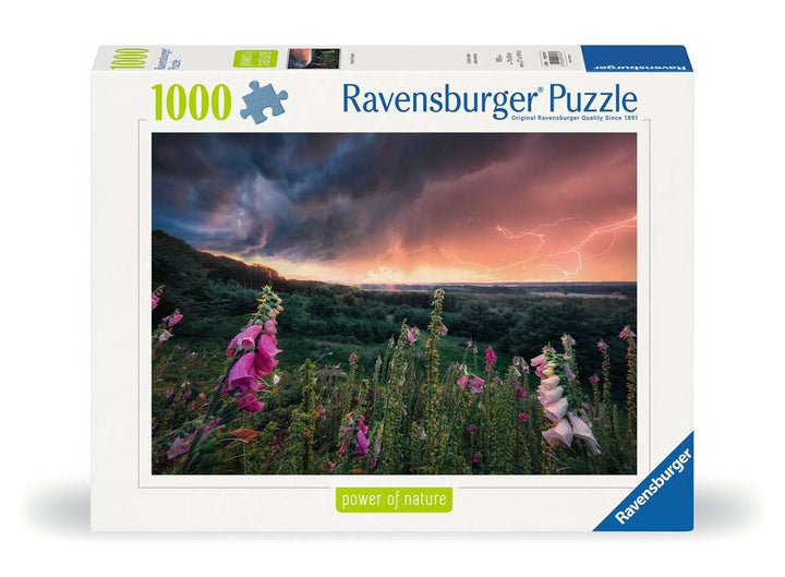 Ravensburger Puzzle 12000793 - Ein Sturm zieht auf - 1000 Teile Puzzle für Erwachsene ab 14 Jahren