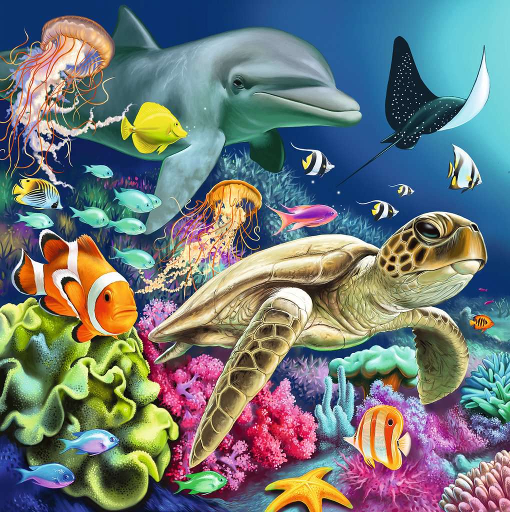 Bezaubernde Unterwasserwelt