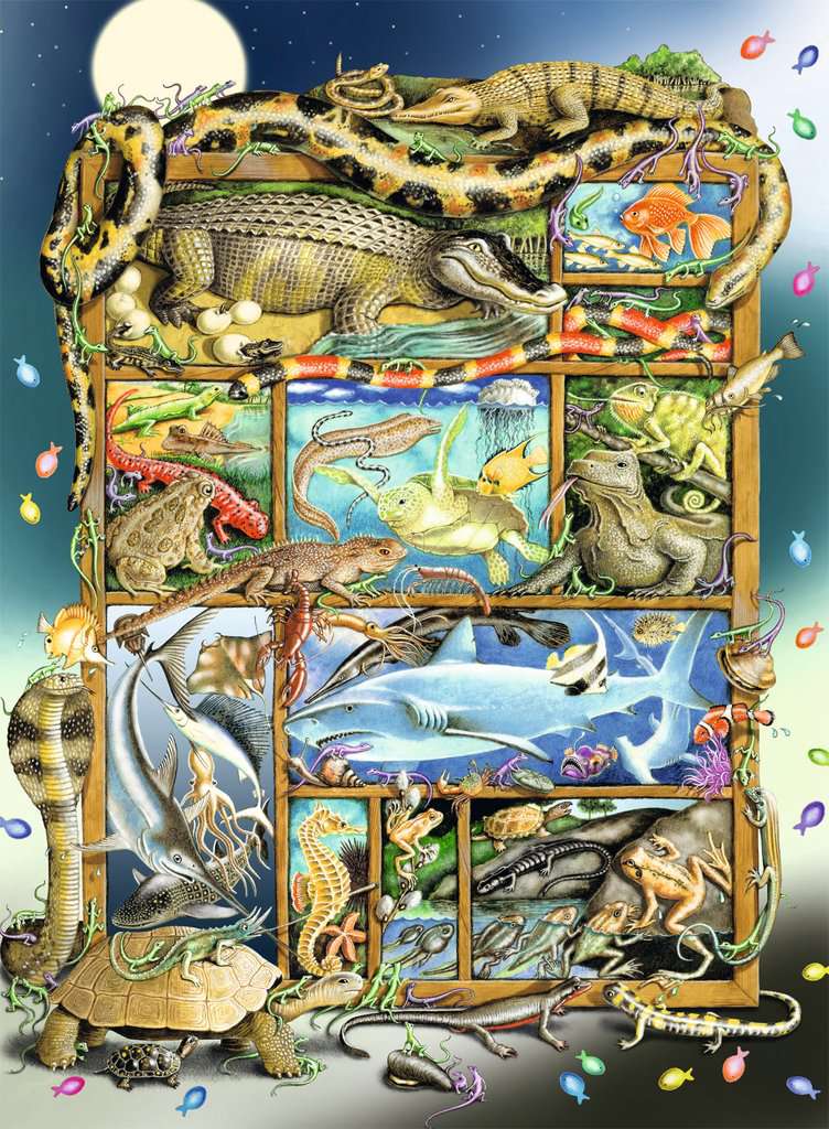 Ravensburger Kinderpuzzle - 12000866 Reptilien im Regal - 200 Teile XXL Puzzle für Kinder ab 8 Jahren