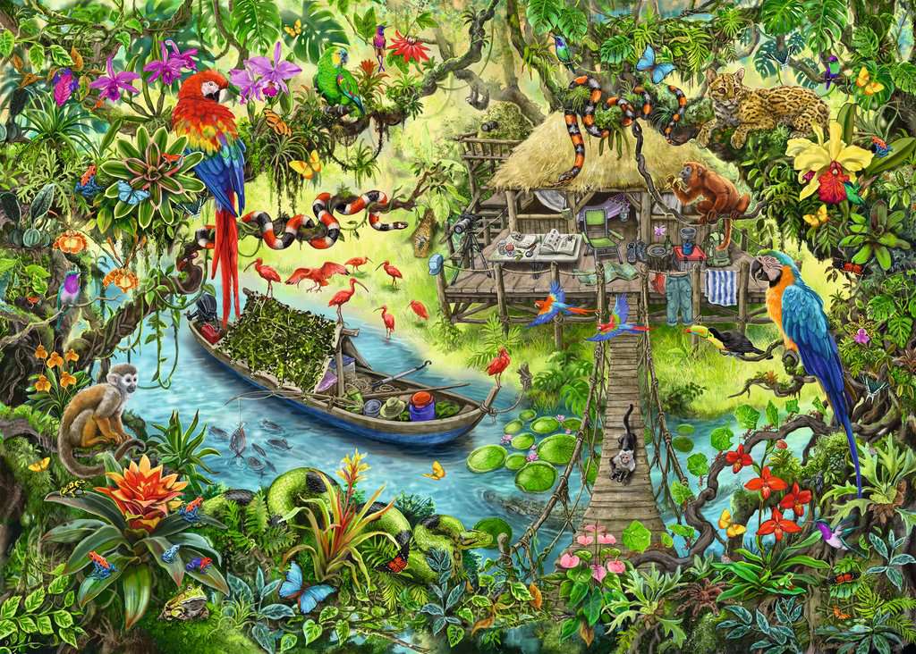 EXIT Puzzle Kids Die Dschungelexpedition
