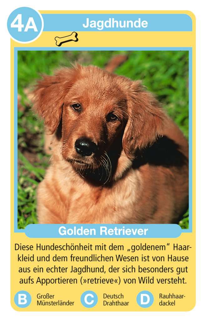 Ravensburger 20420 - Tierquartett Hunde, Klassiker für 3-6 Spieler ab 4 - 12 Jahre, 32 Hunderassen