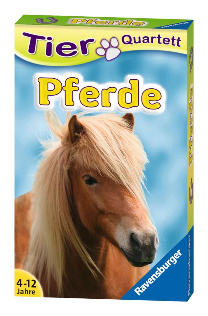Tierquartett Pferde