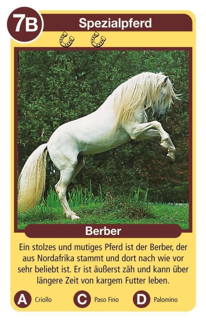 Tierquartett Pferde