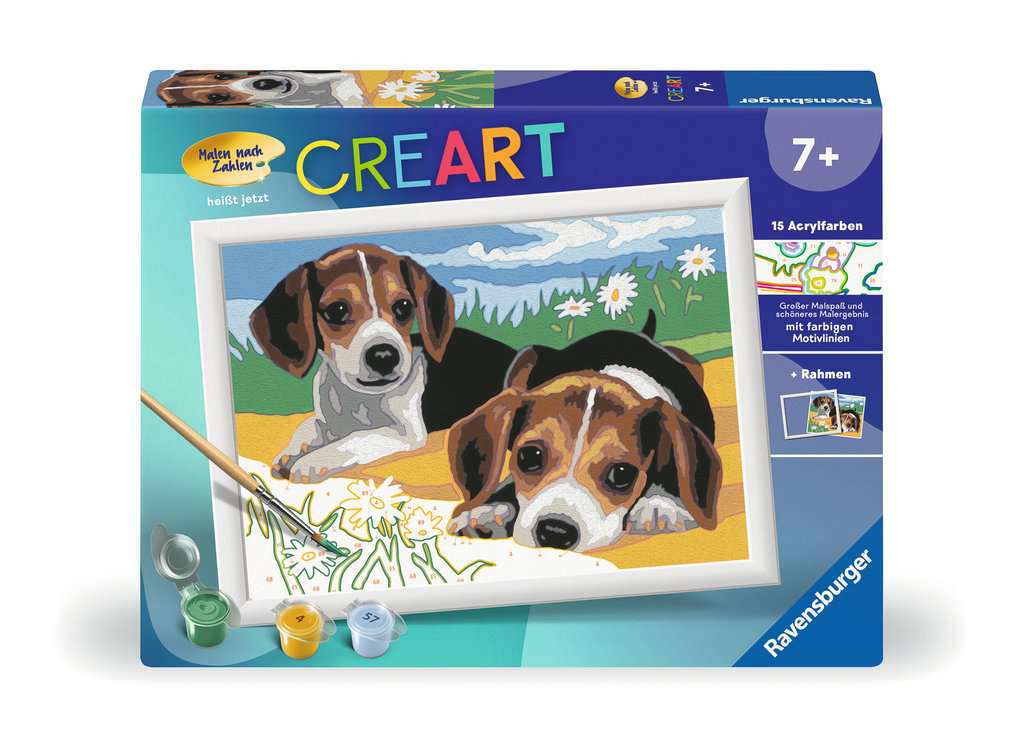 Jack Russell Welpen