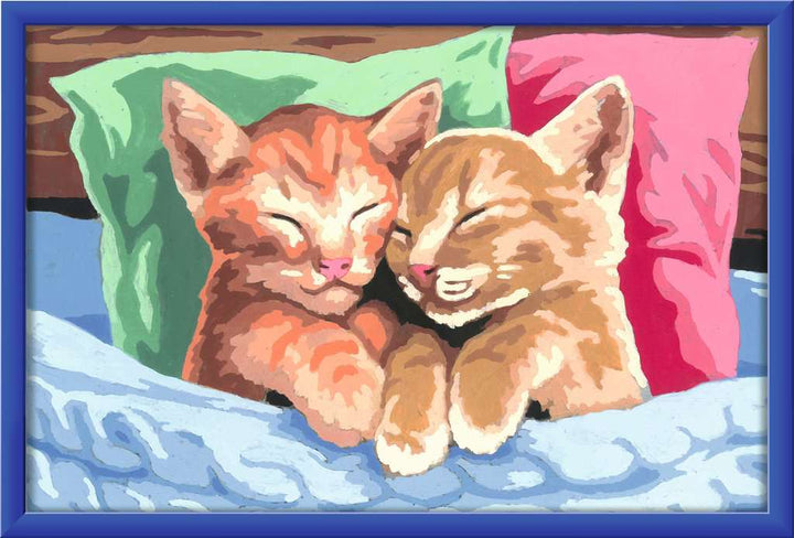 Verschmuste Kätzchen