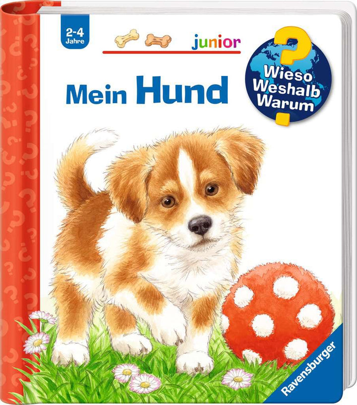 Wieso? Weshalb? Warum? junior, Band 41: Mein Hund