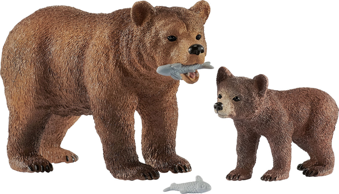Grizzlybär-Mutter mit Jungem