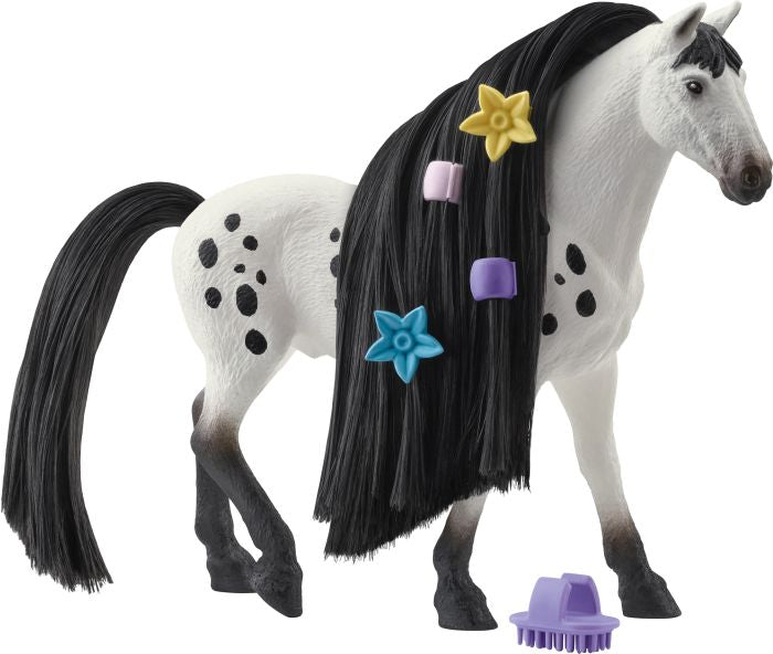 Beauty Horse Knabstrupper Hengst