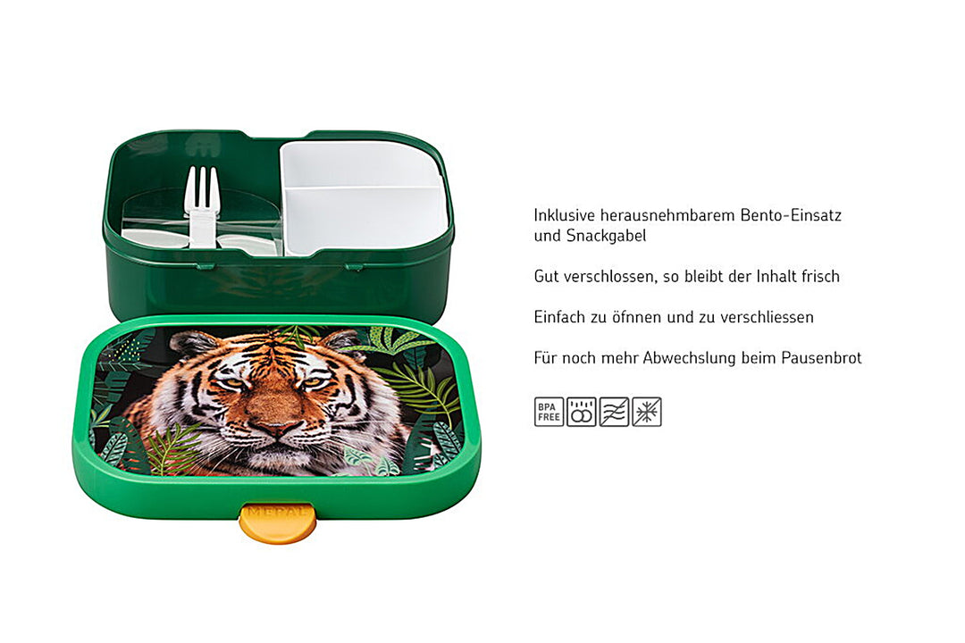 brotdose campus - wild tiger
