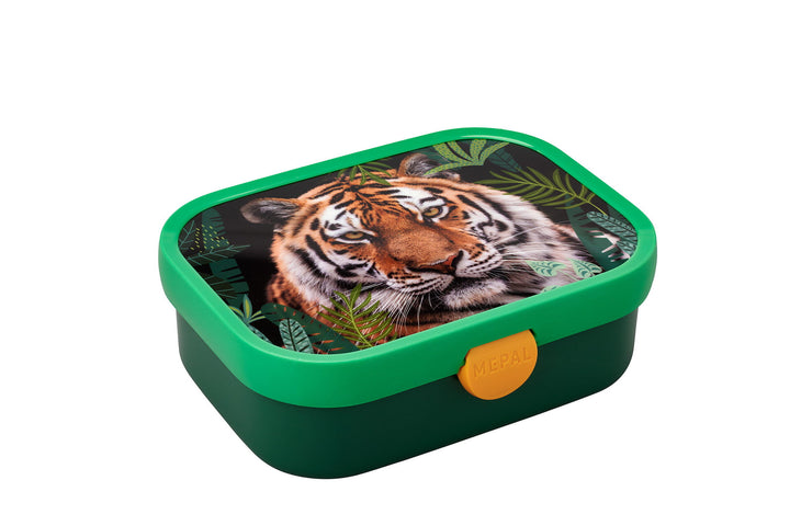 brotdose campus - wild tiger