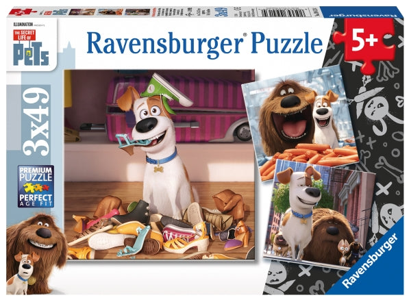 Pz. PET Spaß allein zu Hause 3x49T