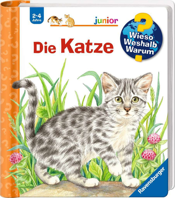 Wieso? Weshalb? Warum? junior, Band 21: Die Katze