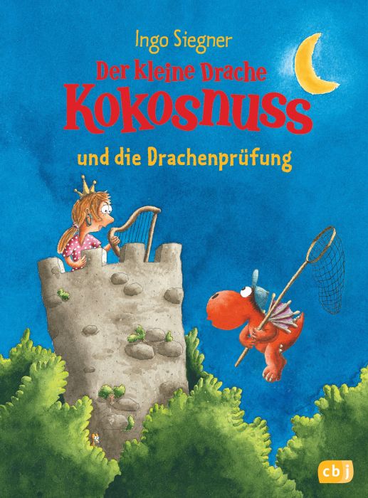 Der kleine DKN 29 - Drachenprüfung