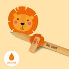 ERASABLE GEL PEN - ERASABLE PEN - LION